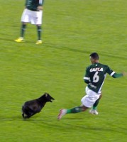 /album/raridades/barbaridadee-jpg2/